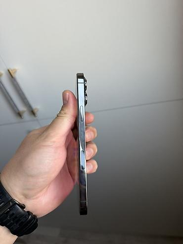 13 pro max graphite: IPhone 13 Pro Max, 256 ГБ - Модель: iPhone 13 Pro Max (экран ) - — 5