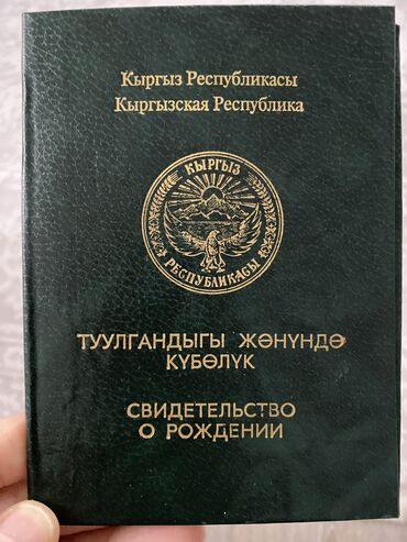 Бюро находок: Всем привет! Кто потерял в районе цирка Свидетельство о рождении