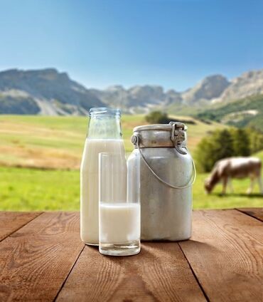 холодильник для молока: Натуральное молоко, оптом, по городу Жалал-Абад, от 50л+