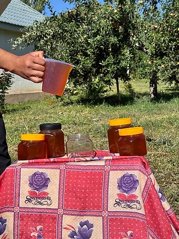 пасечник: 🍯 Натуральный горный мёд из Токтогула — с пасеки, без сиропа — 5
