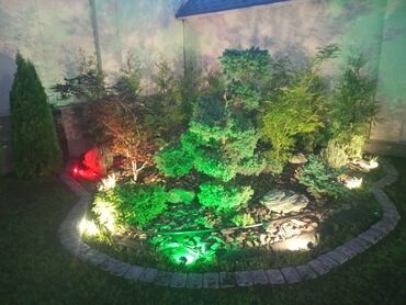 Другие услуги: 🍀стрижка хвойных🍀 🍀обрезка деревьев🍀 🍀Газон под ключ. 🍀Все виды — 6