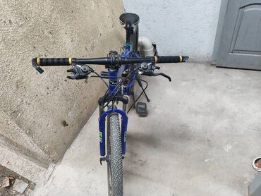 велик б: AZ - City bicycle, Башка бренд, Велосипед алкагы XS (130 -155 см), Башка материал