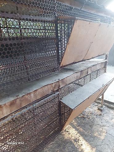 Птицы: Продаю Клетки для Птицы, Цыплят, Кроликов, Нутрий крепкие из — 2