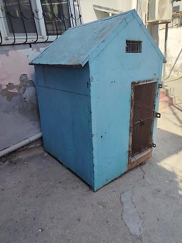 qus dami satilir: Taxta quşxana/kümes Göyərçin yuvası satılır - Material: qalın taxta — 4