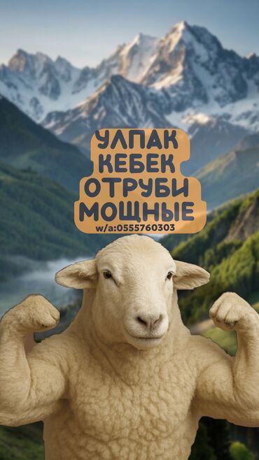 наполнитель для животных: КЕБЕК, улпак сатылат! Фасовкасы — 30 кг. Сатуу только самовывоз менен
