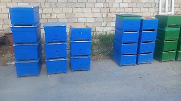 quş yuvası düzəltmək: Arıçilik üçün taxta pətəklər və korpuslar - Material: möhkəm taxta — 1