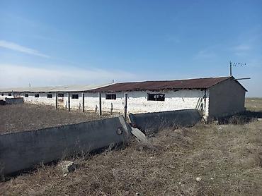 ысык куле: Кой короо, 6000 соток, Иштебеген, Жарым-жартылай жабдуулары менен, Скважина — 10