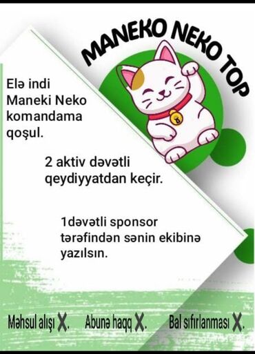 репетитор по математике 9: "Maneki Neko Top" komandasına qoşulmaqla, yalnız 2 aktiv dəvətli