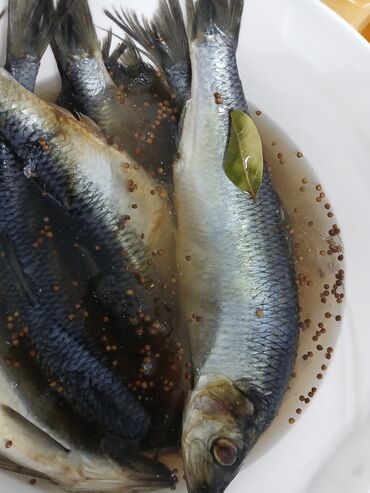 Рыба и морепродукты: Свежий — 24