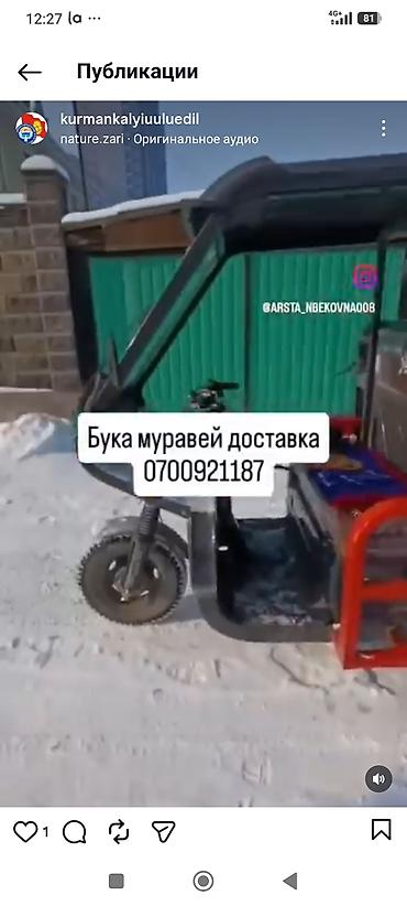 jcb трактор цена бишкек: Муравей Сатылат шашылыш турдо
байланышыныздар суйлошолу — 2