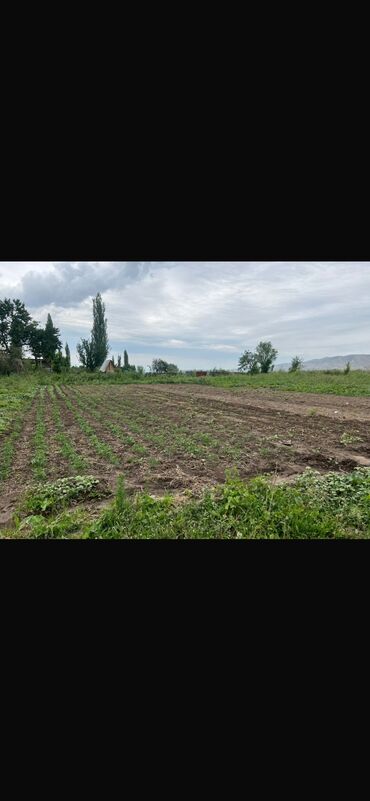 участок село луговое: 5 соток, Для бизнеса, Красная книга