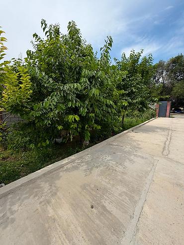 финка кредит: 🏡 Продаётся дом в районе Сокулук 📍 Участок — 11 соток ✅ Свет и вода — 7