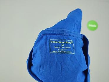 stedman st2100: Cedar Wood State, T-shirt damski, rozmiar M — 5