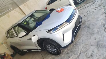 BYD: BYD : 2025 г.