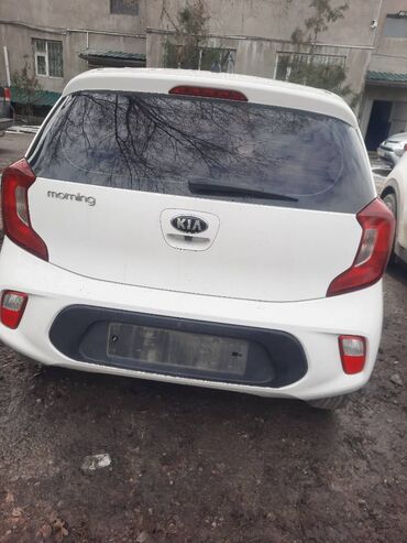 машина за 1000000: Kia Morning: 2020 г., 1 л, Автомат, Бензин