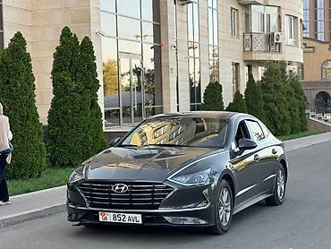 соната желтый: Hyundai Sonata: 2022 г., 2 л, Автомат, Газ, Седан — 2