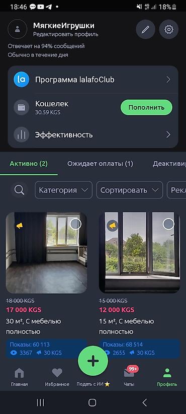 гоцтиница ош: 30 м², С мебелью частично — 3