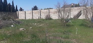 Torpaq sahələrinin satışı: 9 sot, Tikinti, Mülkiyyətçi, Kupça (Çıxarış) — 6