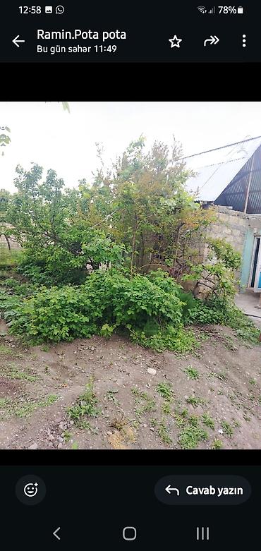 Torpaq sahələrinin satışı: Tikinti, Mülkiyyətçi, Bələdiyyə — 1