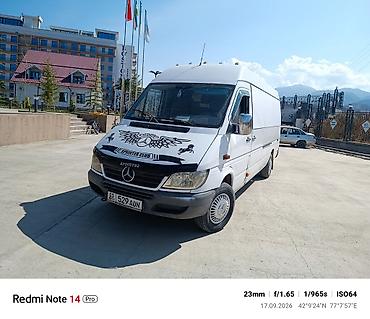 450: Mercedes-Benz Спринтер: 2003 г., 2.9 л, Механика, Дизель — 1