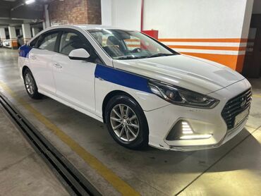 сонату: Hyundai Sonata: 2017 г., 2 л, Автомат, Бензин, Седан