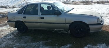 Opel: Opel Vectra: 1994 г., 2 л, Механика, Бензин, Седан