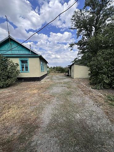 кызыл ата: Продаётся жилой дом с приусадебным участком — 2