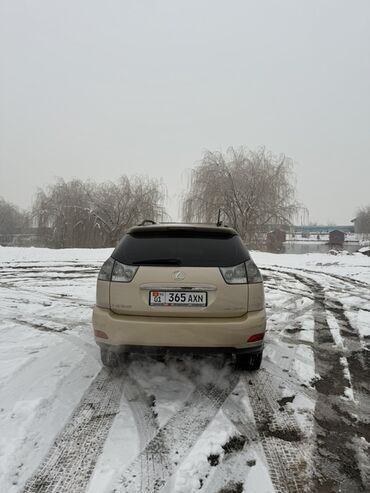 Lexus: Lexus RX: 2008 г., 3.5 л, Автомат, Бензин, Кроссовер — 7