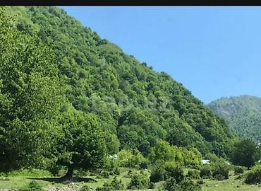 dağ: 10 sot, Tikinti, Barter mümkündür, Kupça (Çıxarış) — 3