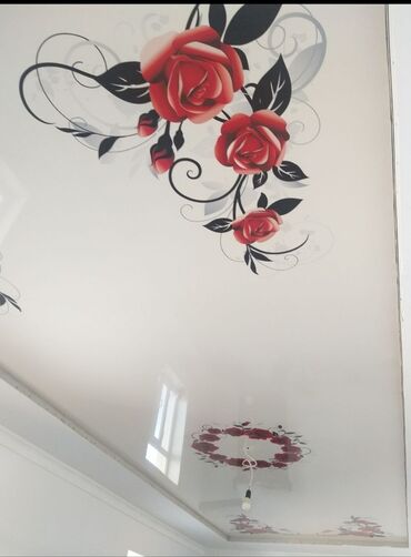 Светодиодная потолочная панель: Натяжной потолок с декоративным рисунком. Подходит для создания — 3