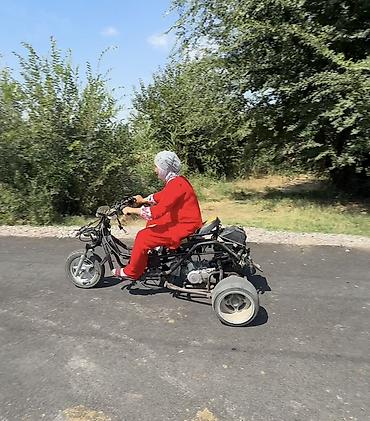скутеры 125 кубов: Trike Кастомный трицикл на базе Honda Zoomer. Компактная трехколесная — 7