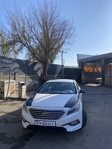 byd song plus dm i бишкек: Hyundai Sonata: 2018 г., 2 л, Автомат, Газ, Седан — 1