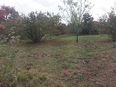 bakixanovda torpaq satisi: Satılır: həyət evi .yolun yaninda suyu qazi iwigi herweyi var 18 sotun — 6