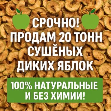 куплю яблоки оптом: Продам сушёные дикие яблоки — 20 тонн, срочно! Натуральные дикие