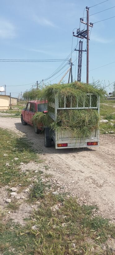 qoşqu mala: Qoşqu satılır sənədsiz isdənilən maşına qoşmaq olur qiymət 1300 m