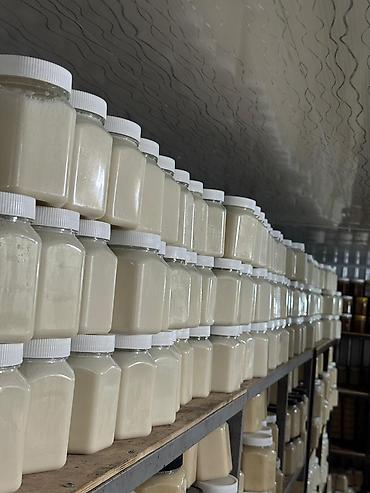 Мёд: Белый мёд! ат-баши оптом! белый мёд,в 1кг,05,25кг,1л(1.5кг) таре. мёд — 5