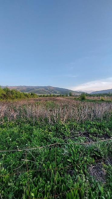 premium development: 120 соток, Для сельского хозяйства, Договор купли-продажи — 9