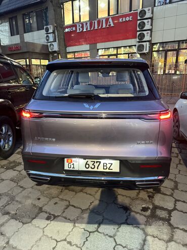 Jetour: Jetour : 2023 г., Кроссовер — 4