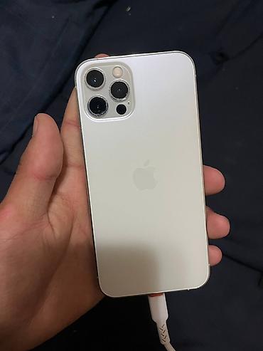 sp5 pro: IPhone 12 Pro, цвет Silver (серебристый) Ключевые особенности: - — 1