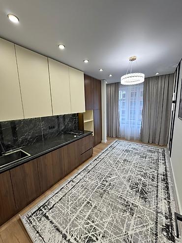 1 bedroom: 1 комната, 42 м², Технопарк Элитка, 7 этаж, Евроремонт — 4
