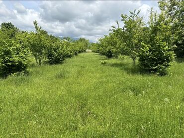 Torpaq sahələrinin satışı: 22 sot, Mülkiyyətçi, Kupça (Çıxarış) -da lalafo.az — 5 Torpaq sahələrinin satışı: 22 sot, Mülkiyyətçi, Kupça (Çıxarış) — 5