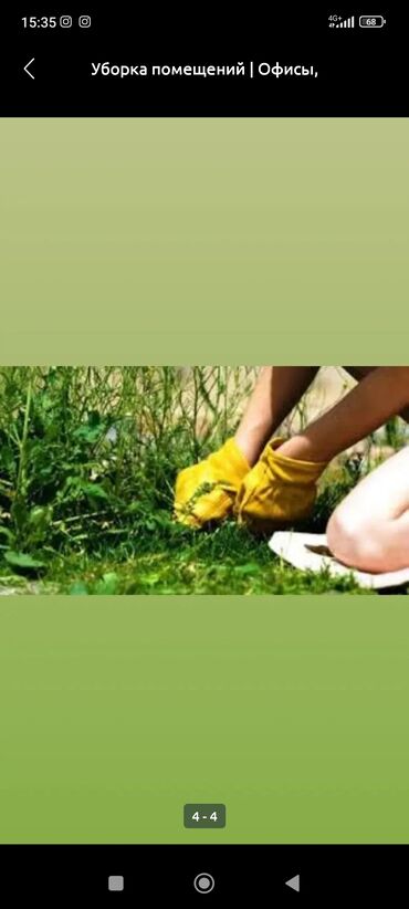 чистка огорода: Дергаем траву убираем двора помещения огороды и тд )