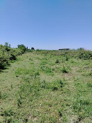 mehemmedi torpaq satilir: 200 sot, Mülkiyyətçi, Kupça (Çıxarış) — 7