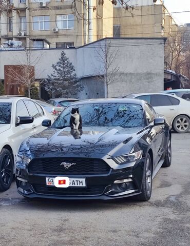 балыкчы машины: Ford Mustang: 2018 г., 2.3 л, Автомат, Бензин, Купе