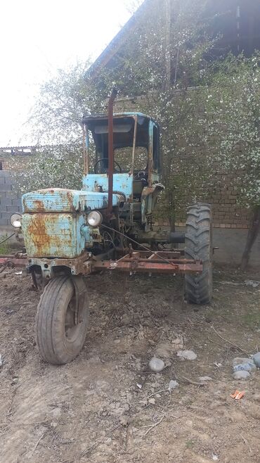трактор в беларуси купить: Тракторы