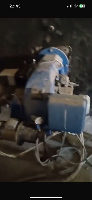 Kirayə torpaq sahələri: 50 sot Kənd təsərrüfatı, Su, İşıq, Qaz — 2