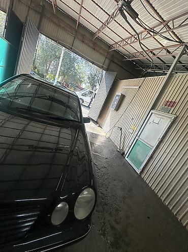 w210 3 2: Mercedes-Benz E-Class: 2001 г., 4.3 л, Автомат, Бензин, Седан — 3