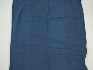 Linen & Bedding: PL - Sheet 142 x 91, color - Blue, condition - Good