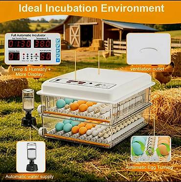 инкубаторы для яиц: 120 yumurtalı, ikiqat enerji mənbəli inkubator - 5 çıxartma rejimi: 4 — 5