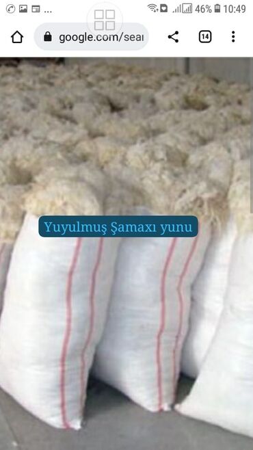 Paltar tikişi: # YUN DİDMƏ XİDMƏTİ #Yun #pamblq #sintepon #didmə # darama #atılması — 7